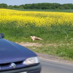 Warm up at a country road