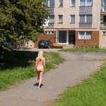 In a park and at a construction site