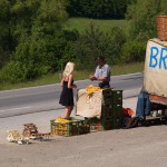 At booth vending fruits