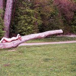 In a public park and along