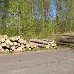 A day nude at a lake