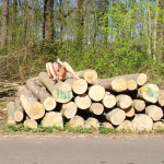 A day nude at a lake