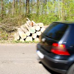 A day nude at a lake