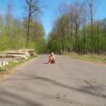 A day nude at a lake