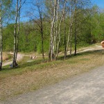 A day nude at a lake