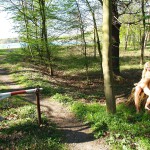 A day nude at a lake
