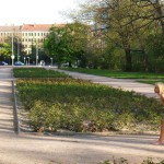 Playing petanque in a city park