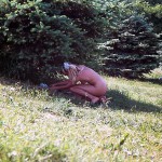 At a lake and in the residential