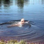 At a lake and in the residential