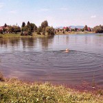 At a lake and in the residential