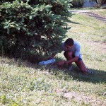 At a lake and in the residential