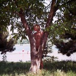 At a lake and in the residential