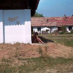 At a lake and in the residential