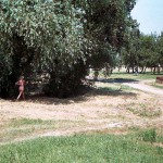 At a lake and in the residential