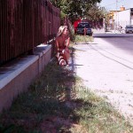 At a lake and in the residential