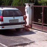 At a lake and in the residential