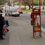 In a residential area