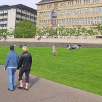 Sun tanning on a meadow