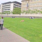 Sun tanning on a meadow