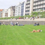 Sun tanning on a meadow