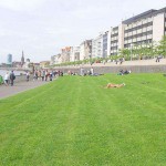 Sun tanning on a meadow