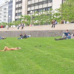 Sun tanning on a meadow