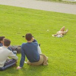 Sun tanning on a meadow