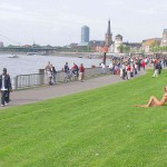 Sun tanning on a meadow