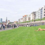 Sun tanning on a meadow
