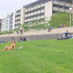Sun tanning on a meadow