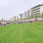 Sun tanning on a meadow