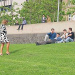 Sun tanning on a meadow