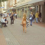 A shopping street in the city center