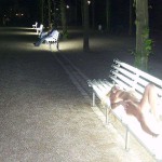 A park in the city center