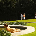 In a well frequented park