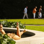 In a well frequented park