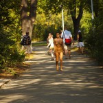 In a well frequented park