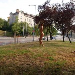 In the center of Prague