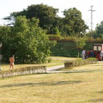 Handing out beers to construction workers