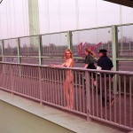 On and around a highway bridge