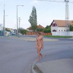 In a suburb of Budapest