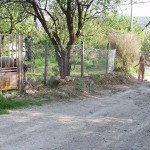 In a suburb of Budapest