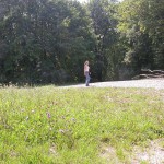 In a forest and a village