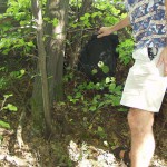 In a forest and a village