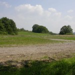 In a forest and a village