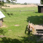 In a forest and a village