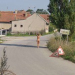 In a forest and a village