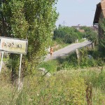 In a forest and a village