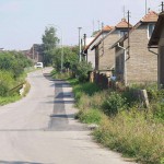 In a forest and a village