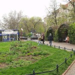 At a small park in the middle of the city